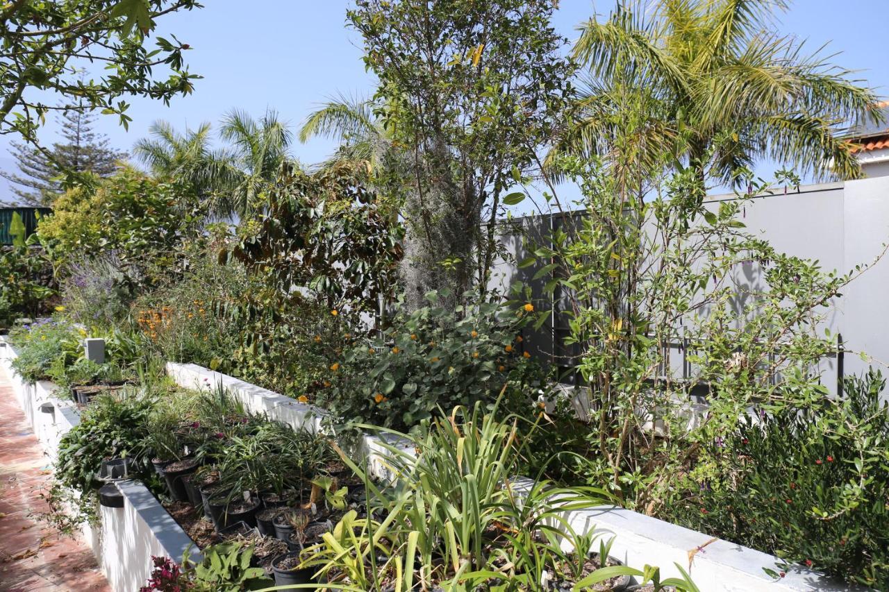 Jungle Paradise La Orotava Buitenkant foto